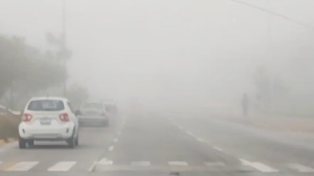VIDEO ¡Liondres! Amanece bulevar de León cubierto por densa capa de niebla; no se veía nada