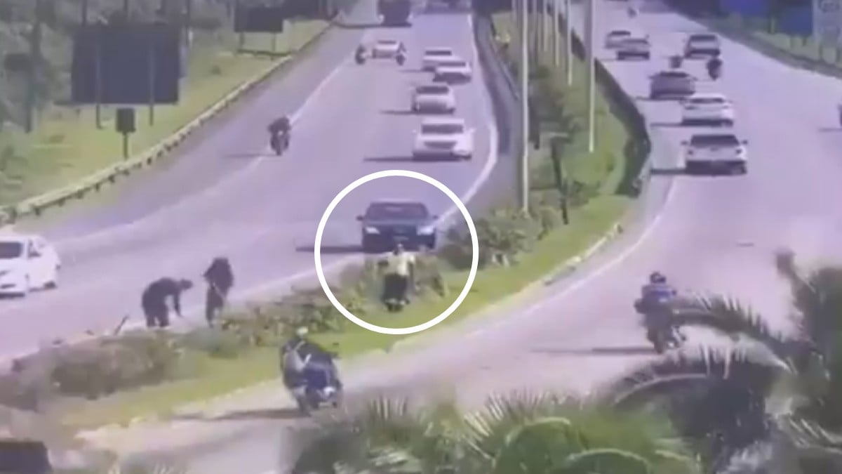 VIDEO ¡No sobrevivió! Auto se sube al camellón y atropella y mata a un jardinero municipal