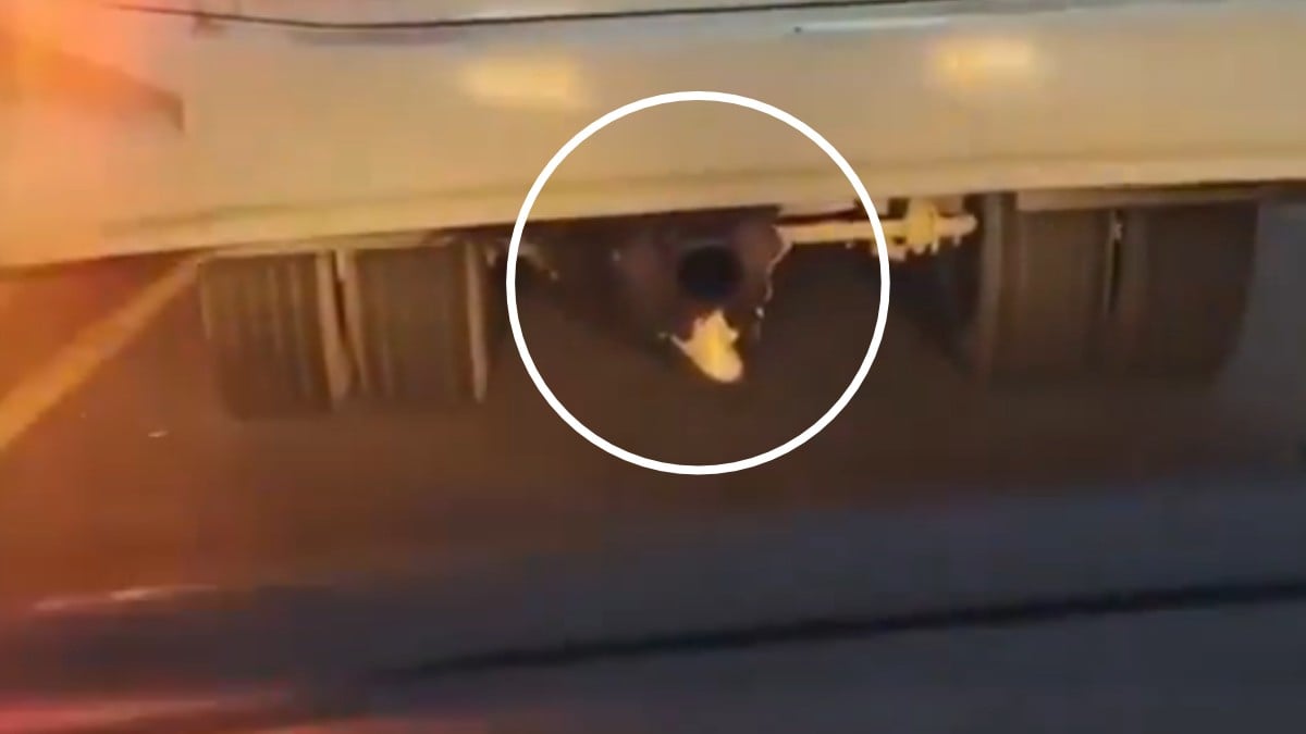 VIDEO ¡Pinta extrema! Joven se escondió bajo un autobús en movimiento durante una hora