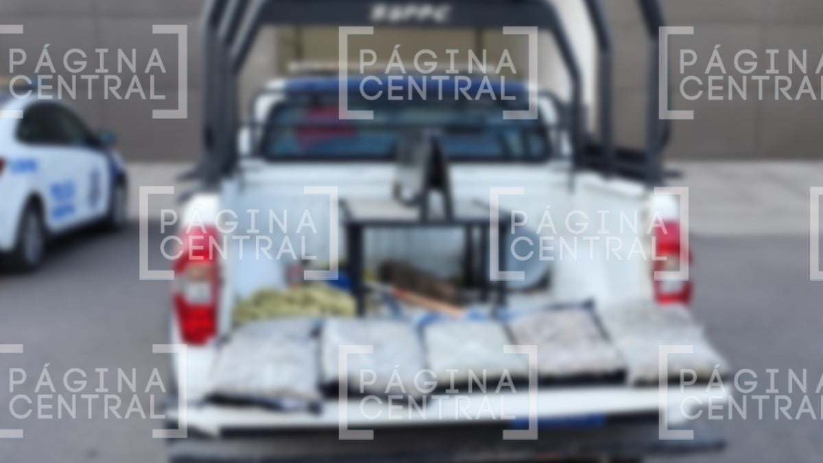 Aseguran dos cajas con presunta marihuana en paquetería de San José de Otates