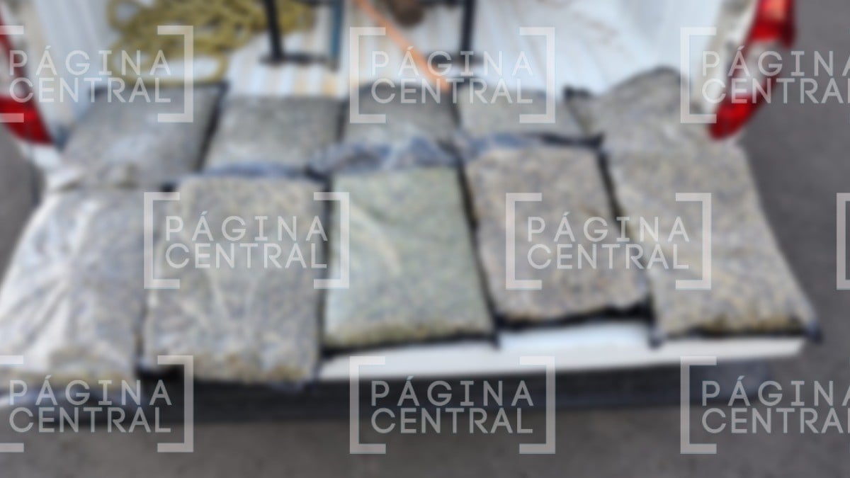 Un fuerte olor los delató: encuentran presunta droga en una paquetería