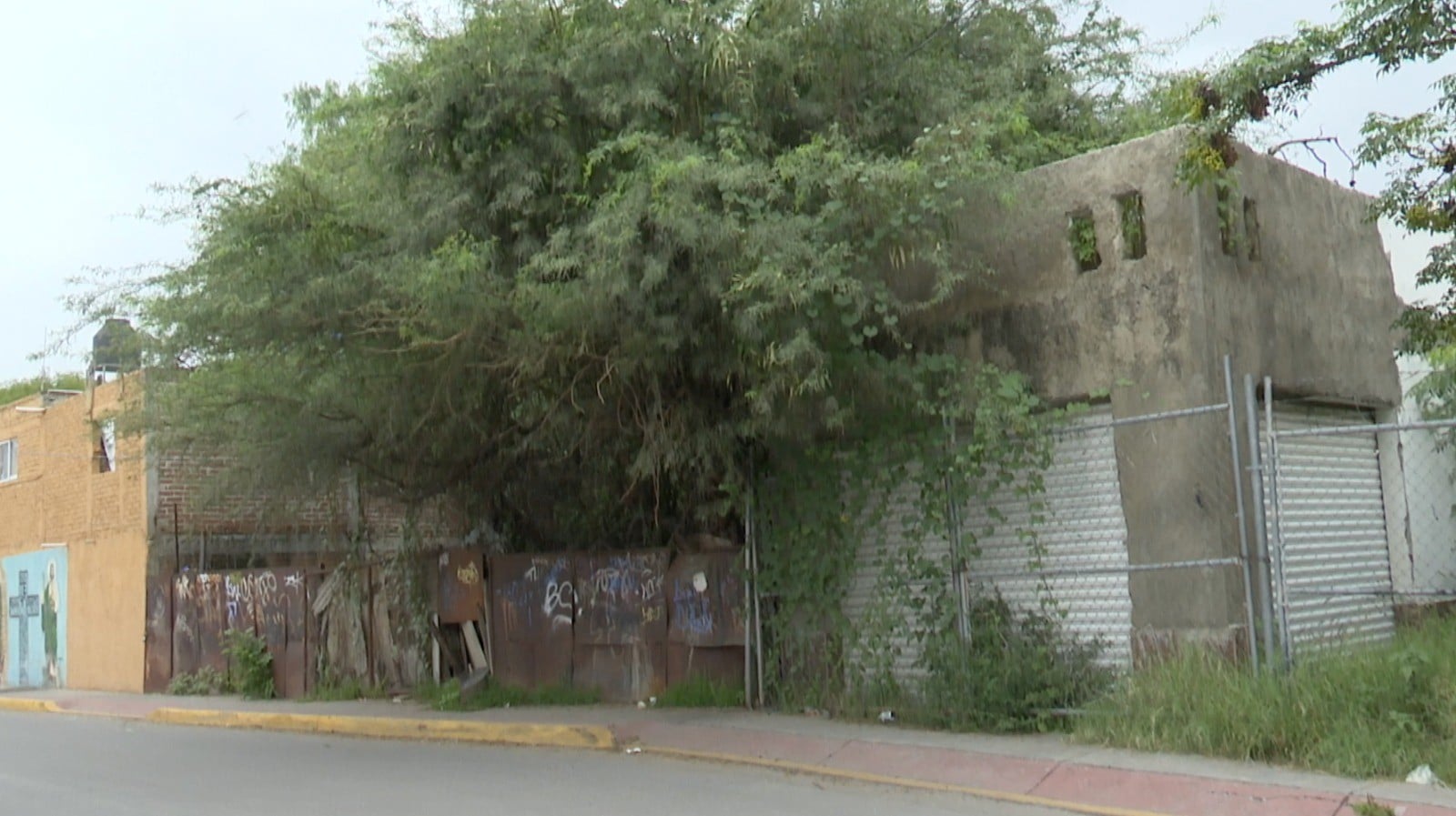 Un baldío preocupa a vecinos en León y hay algo que los tiene en alerta: ¿qué pasa ahí?
