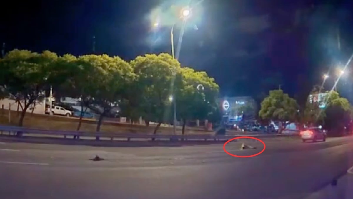 VIDEO ¡Salió volando! Hombre es atropellado en plena avenida y todo queda grabado