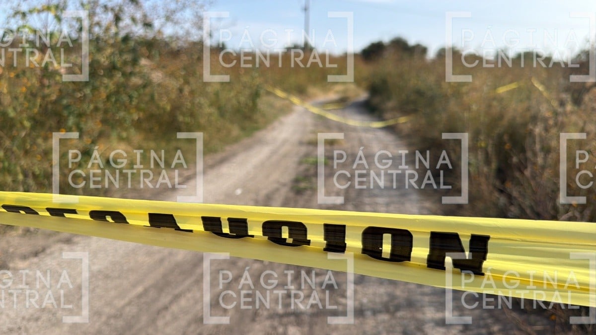 Reporte anónimo destapa hallazgo de restos humanos detrás de El Guaje