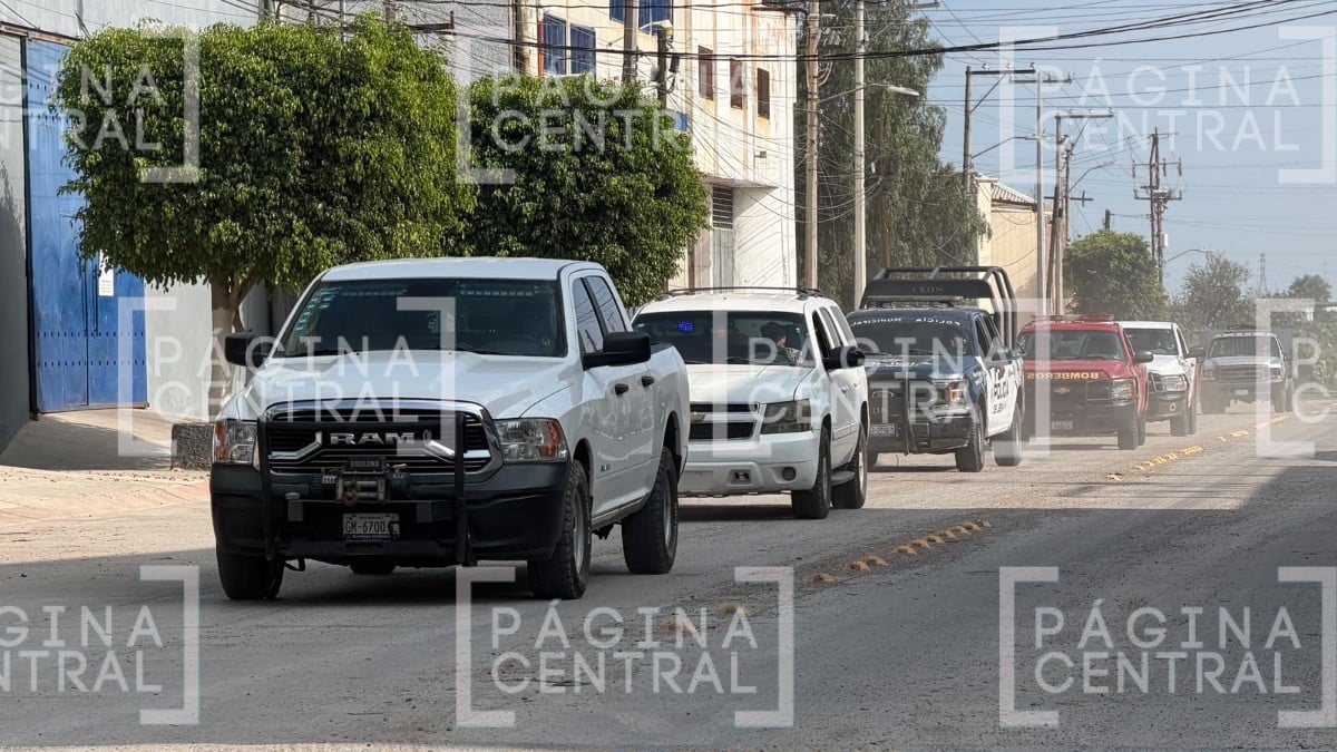 Hallan restos humanos durante búsqueda de madres buscadoras en Santa Cruz