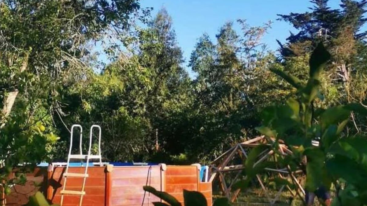 ¿Quieres vivir en un santuario natural en Uruguay? Puedes ir de voluntario con alojamiento