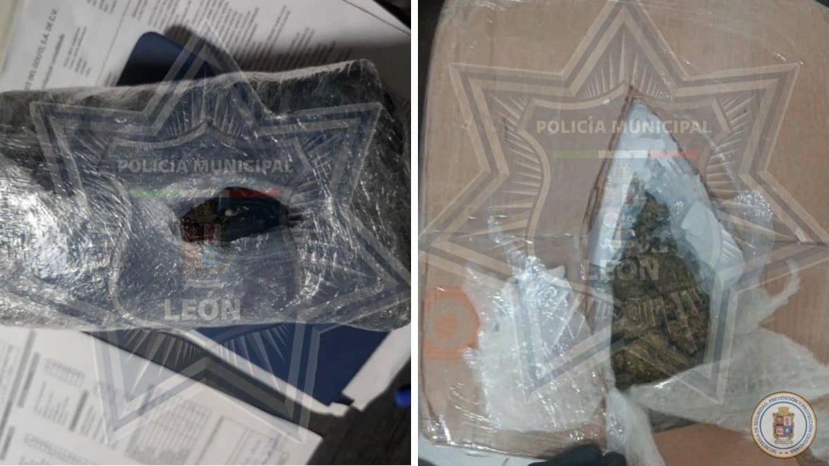 Marihuana en León