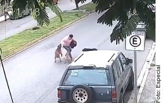 Atacan perros a mujer en San Nicolás