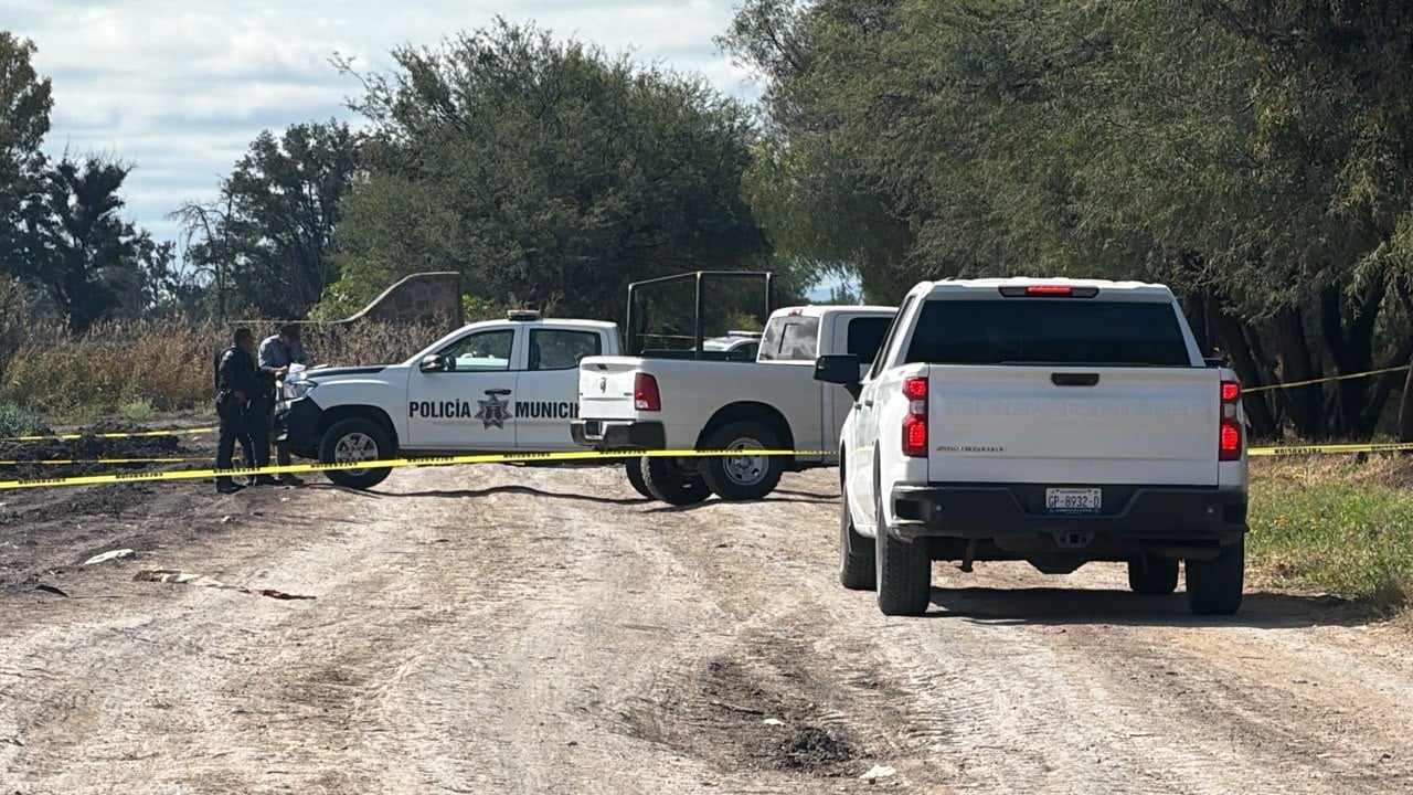Fiscalía analiza hallazgo de cinco cuerpos en León tras jornada violenta