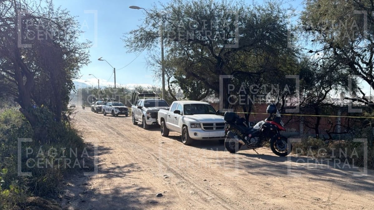 Vecinos iban a trabajar cuando vieron una rodilla salir de un costal en esta zona de León