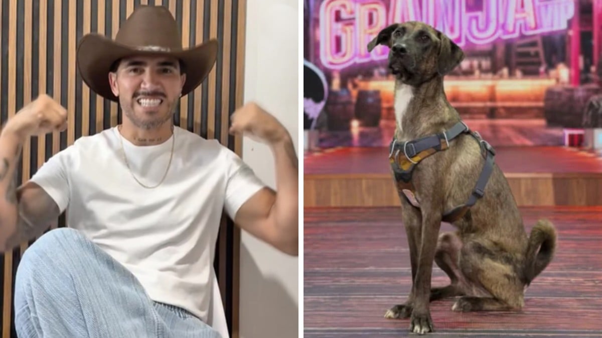 VIDEO ¿Mono Osuna agredió a la mascota de La Granja VIP? Circula denuncia por maltrato animal