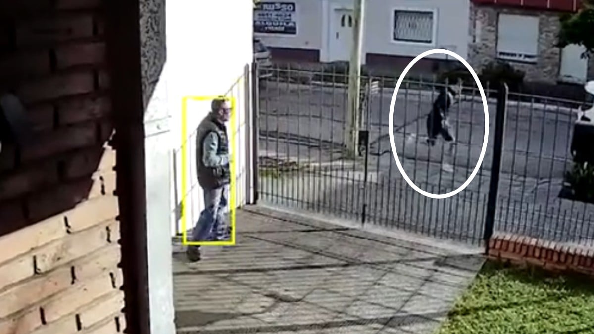 VIDEO Adulto mayor vio que intentaban robar a su vecino; salió armado y mató a un ladrón