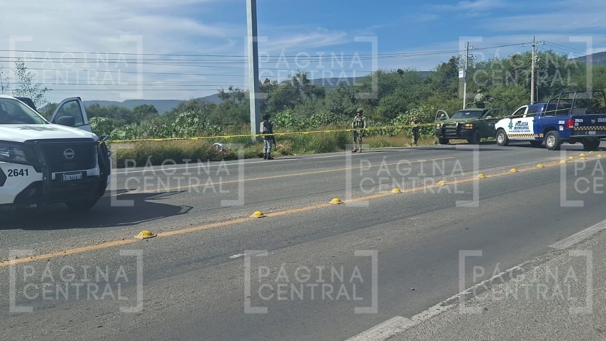 Guanajuato, entre los estados más letales para policías: ya van 20 agentes asesinados este año