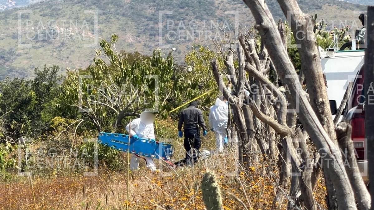 Entre nopales y en avanzado estado de descomposición: hallan tres cuerpos en esta zona
