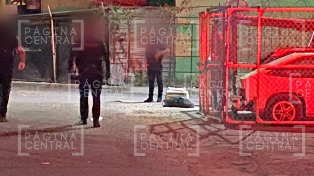 cabeza humana las hilamas