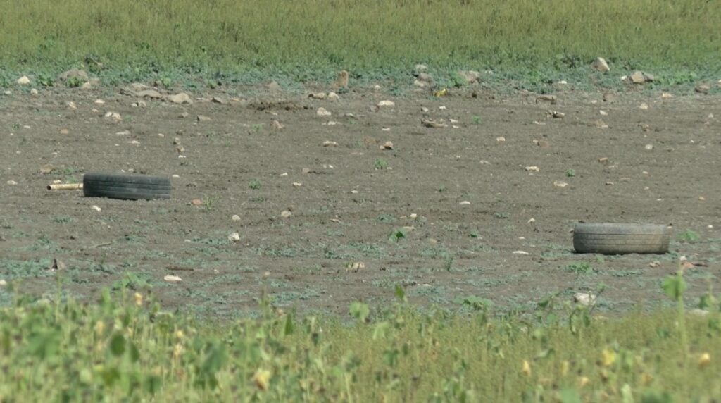 León sufre por la falta de agua. Foto: Gamaliel Reyes