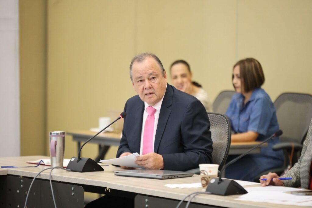 David Martínez Mendizábal