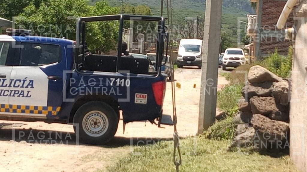 homicidio bajo un árbol en celaya