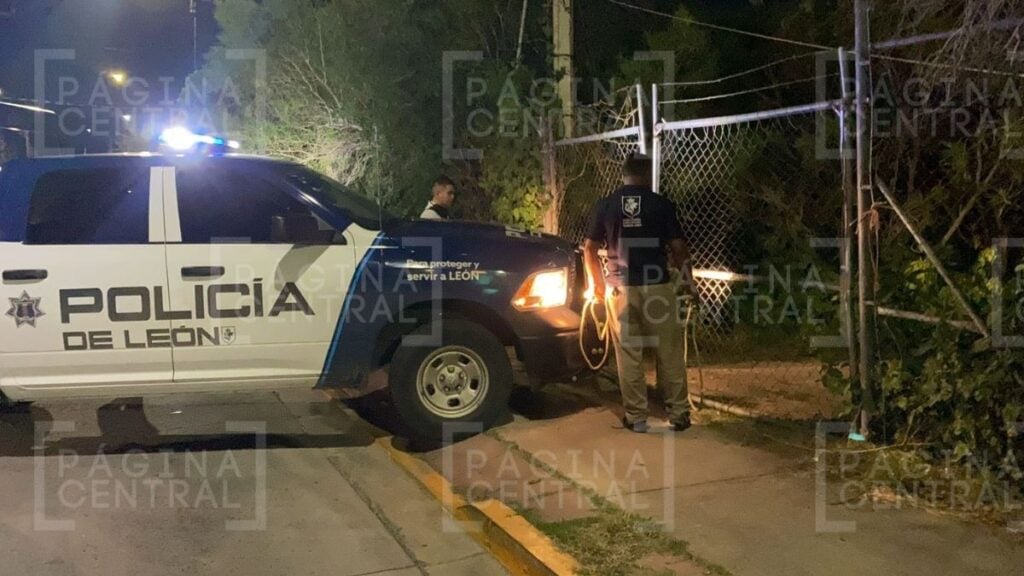 ataque de jauría en Malecón
