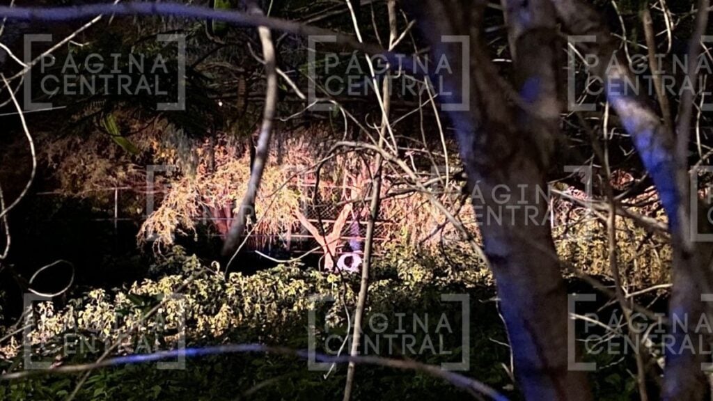 ataque de jauría en Malecón