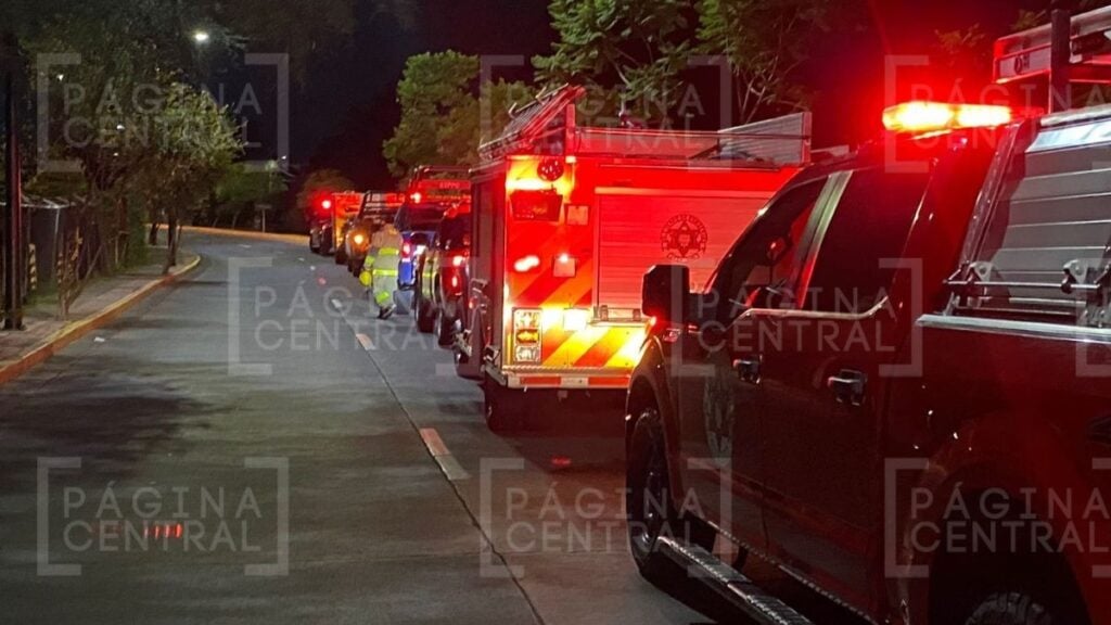ataque de jauría en Malecón
