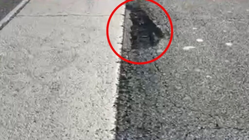 joven pierde parte de su cerebro