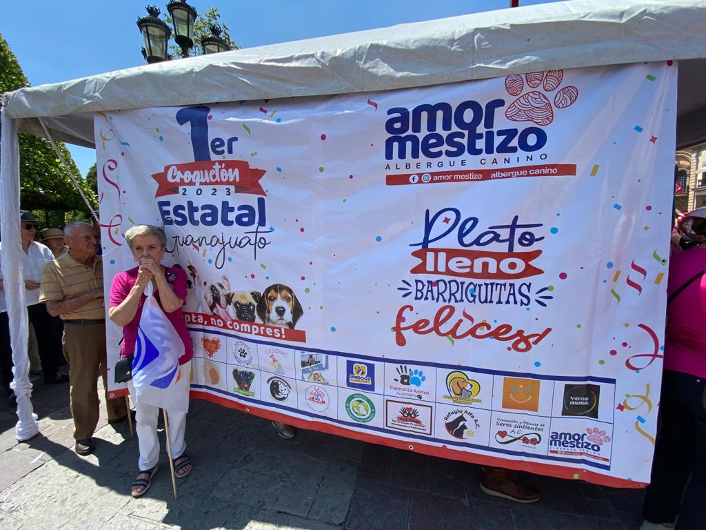 Llevan a cabo actividad en favor de los animales maltratados. Foto: Gaby Bárcenas/Página Central