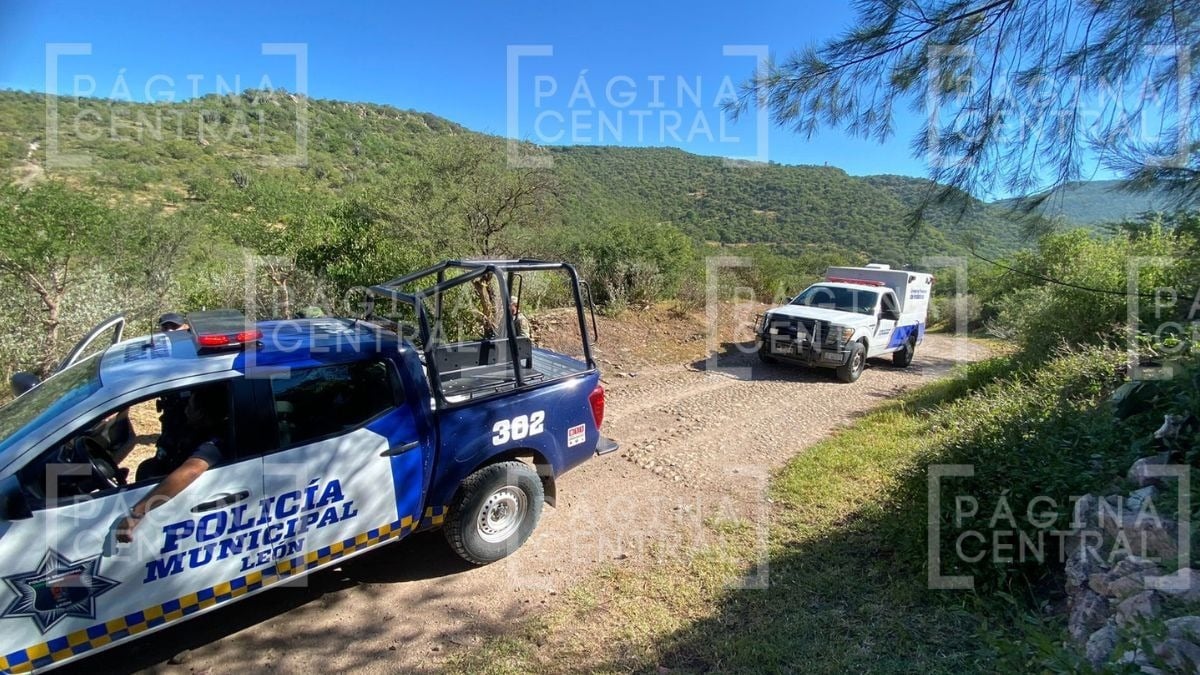 Cuerpo en Vista Aero