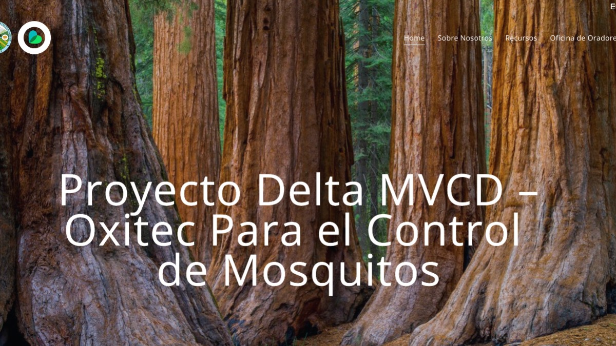 mosquitos de laboratorio modificados