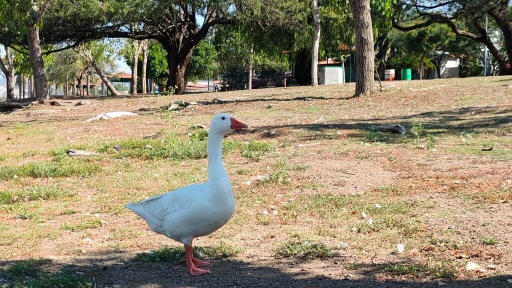 Sequía presa El Palote