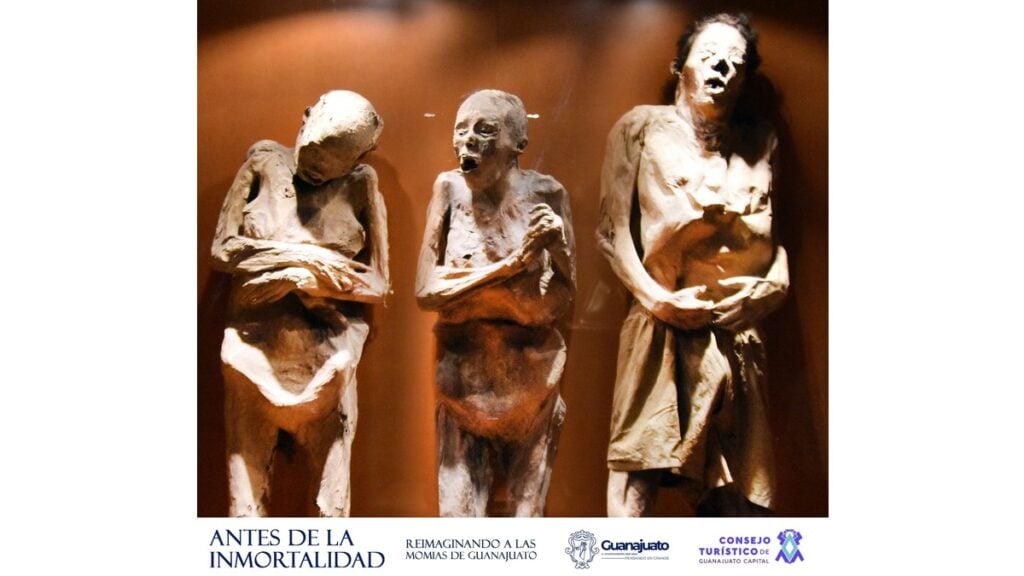 Momias de Guanajuato IA (1)