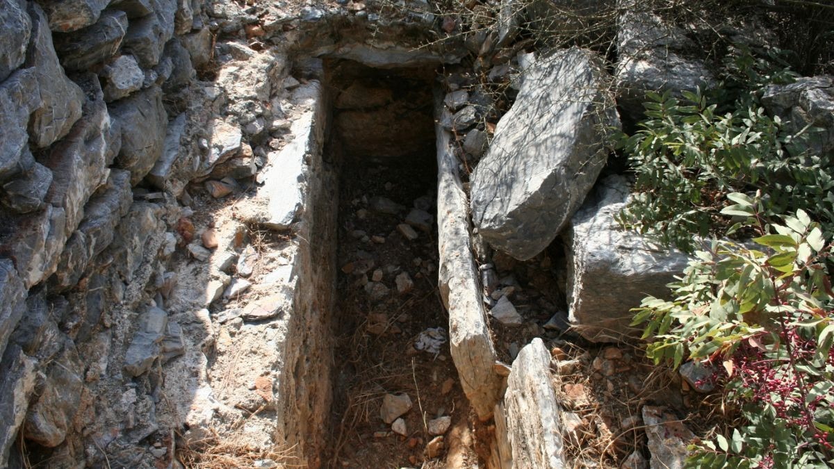 Encuentran cuerpos disecados en una funeraria verde en Denver