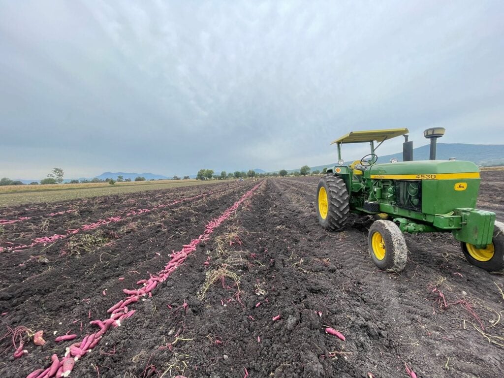 Arancel, tiro en el pie para EU, perderá 400 mil empleos: SE