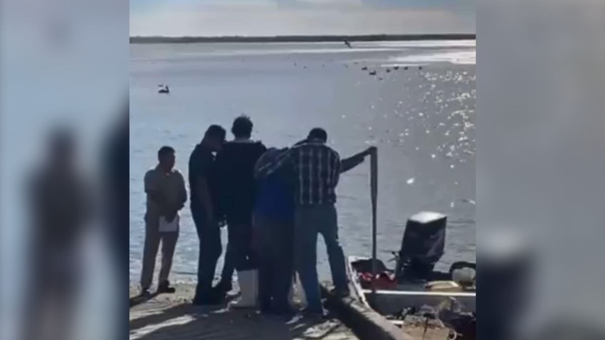 Muere joven en ataque de tiburón en Sonora