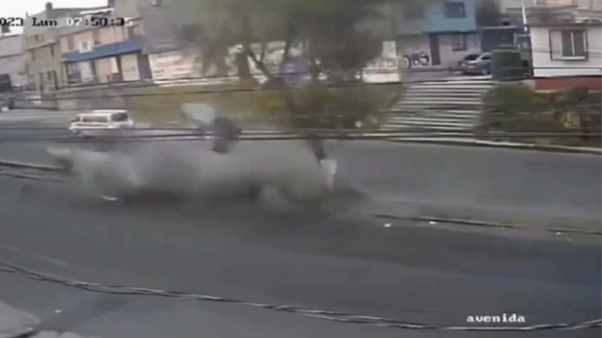 Muere conductor al chocar contra árbol por conducir a exceso de velocidad