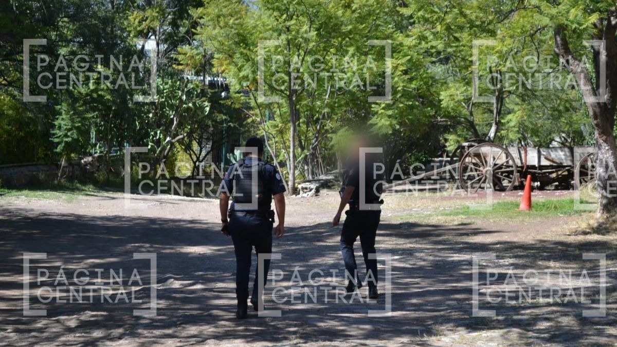 Encuentran cuerpo en Los Castillos en León