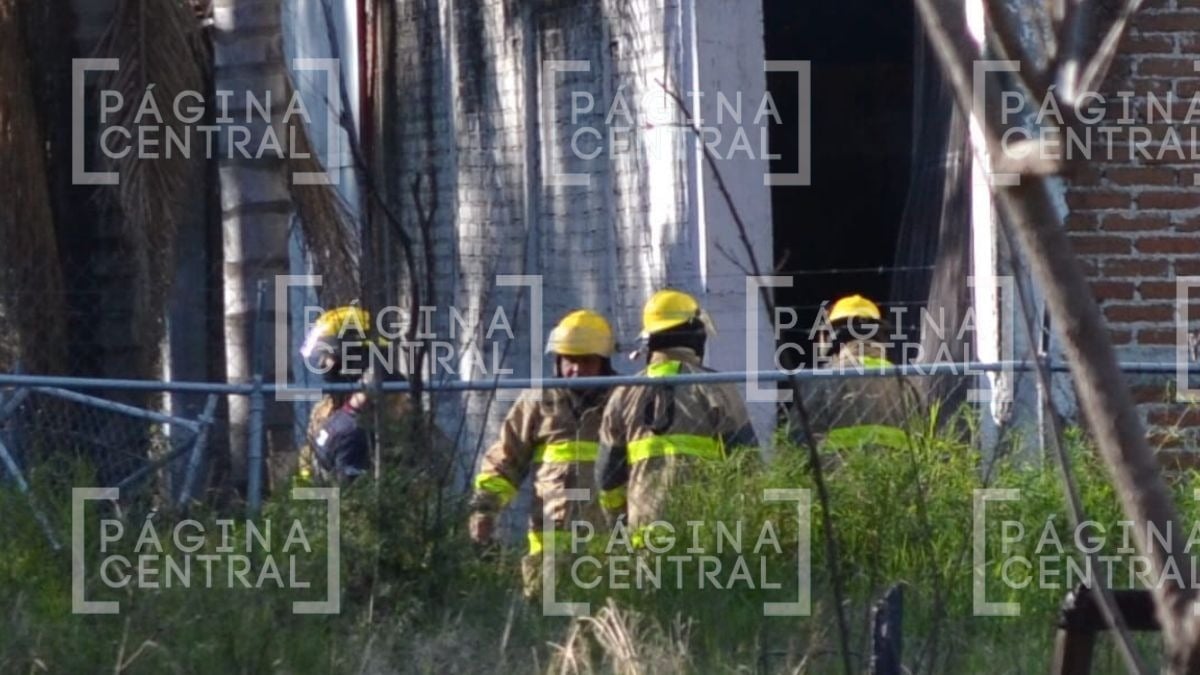 Bodega de tarimas se incendió en León