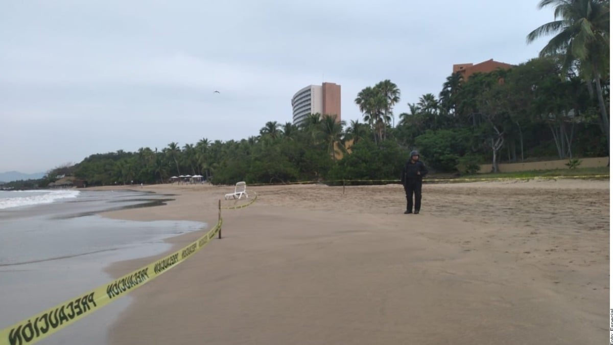 Mata tiburón a turista canadiense en Zihuatanejo