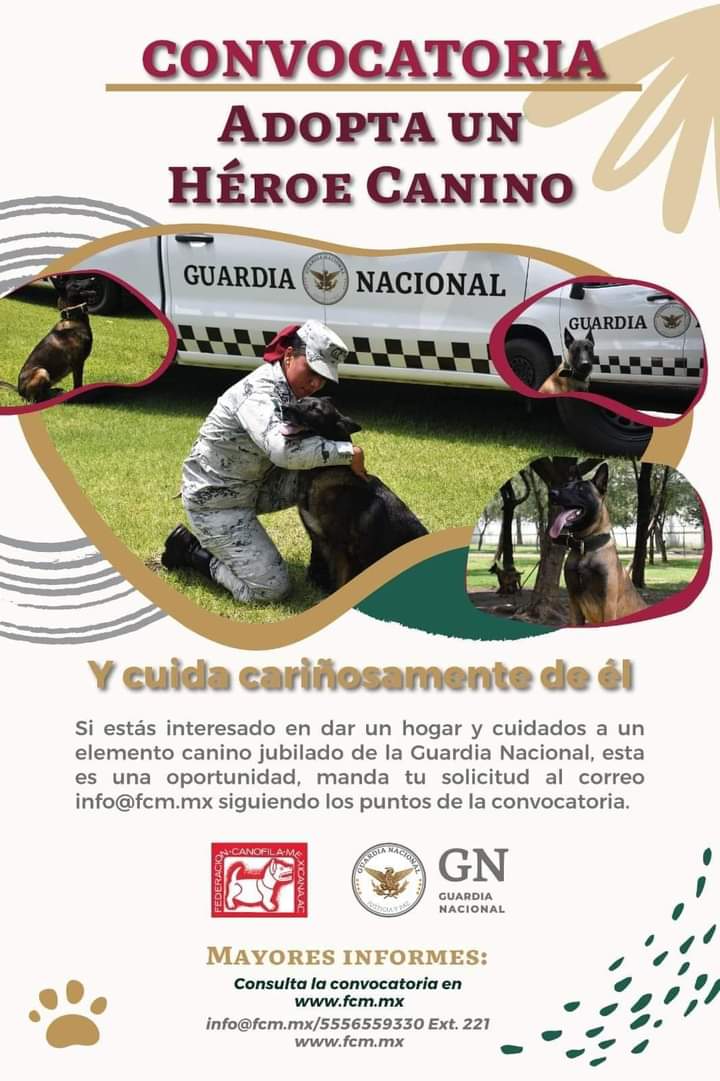 Adopta un perro de la Guardia Nacional