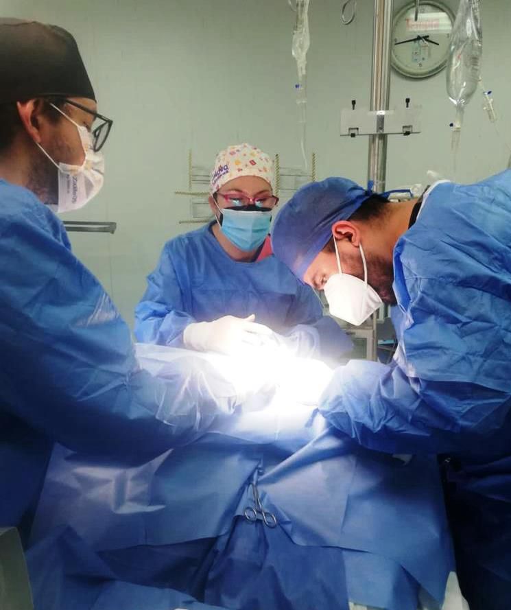 Donación de órganos en León