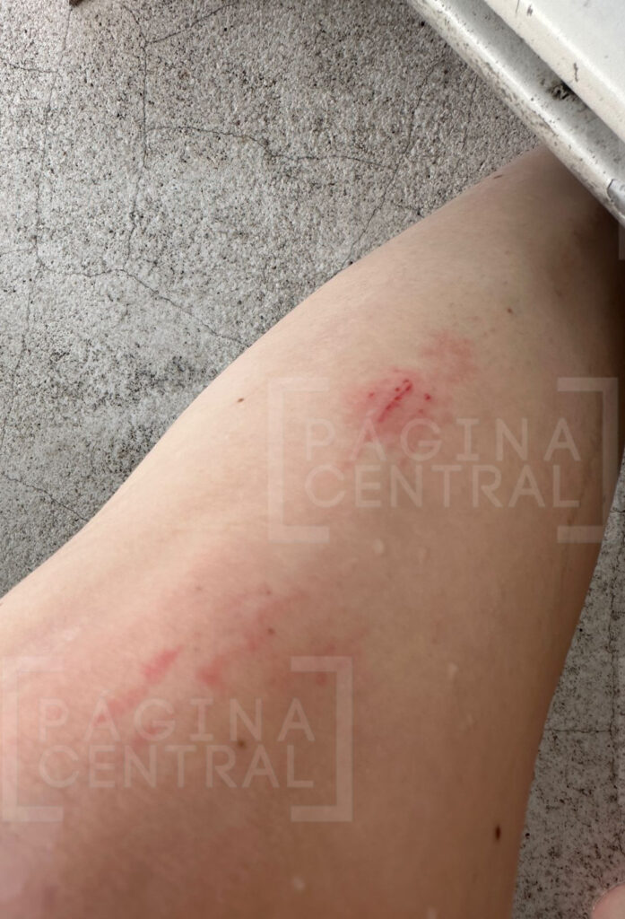 Leoneses en Puerto Vallarta