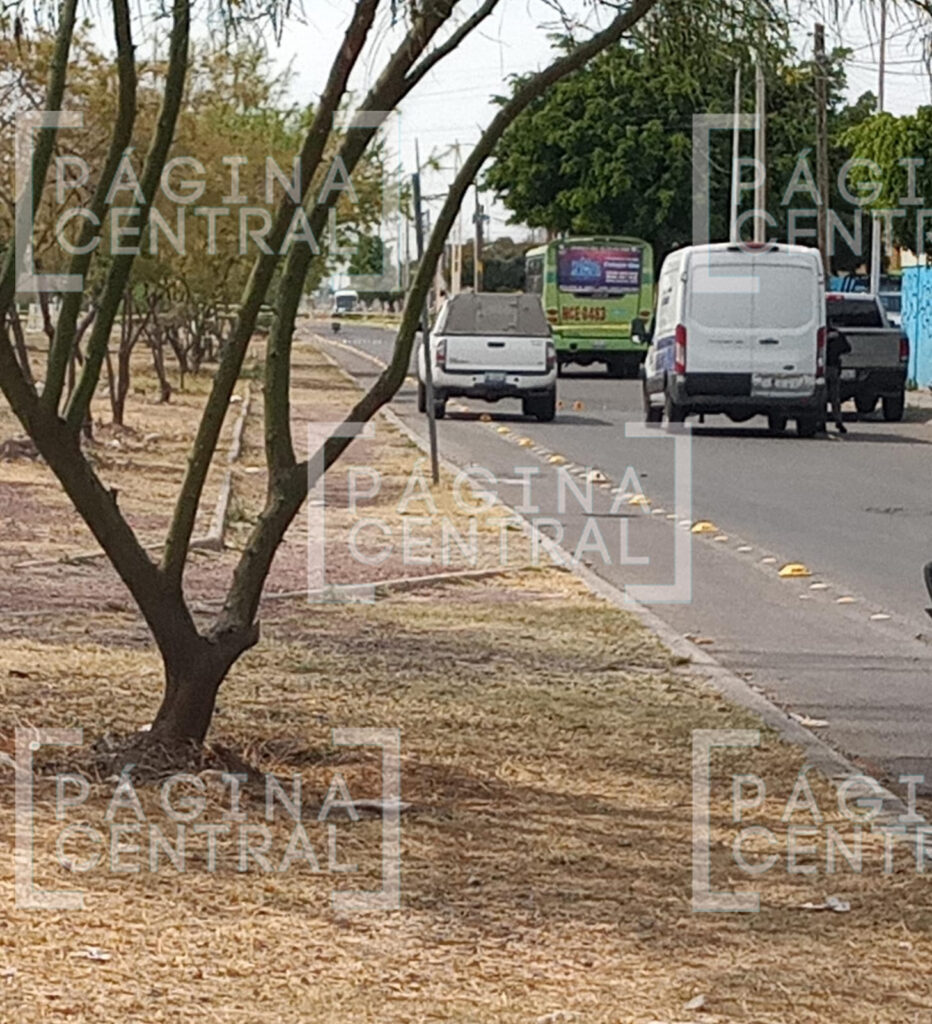 camión urbano Celaya