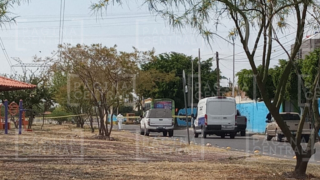 camión urbano Celaya