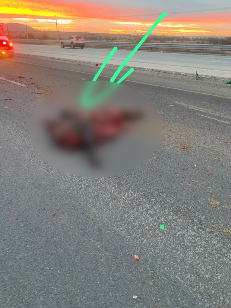 Vaca Eje Metropolitano