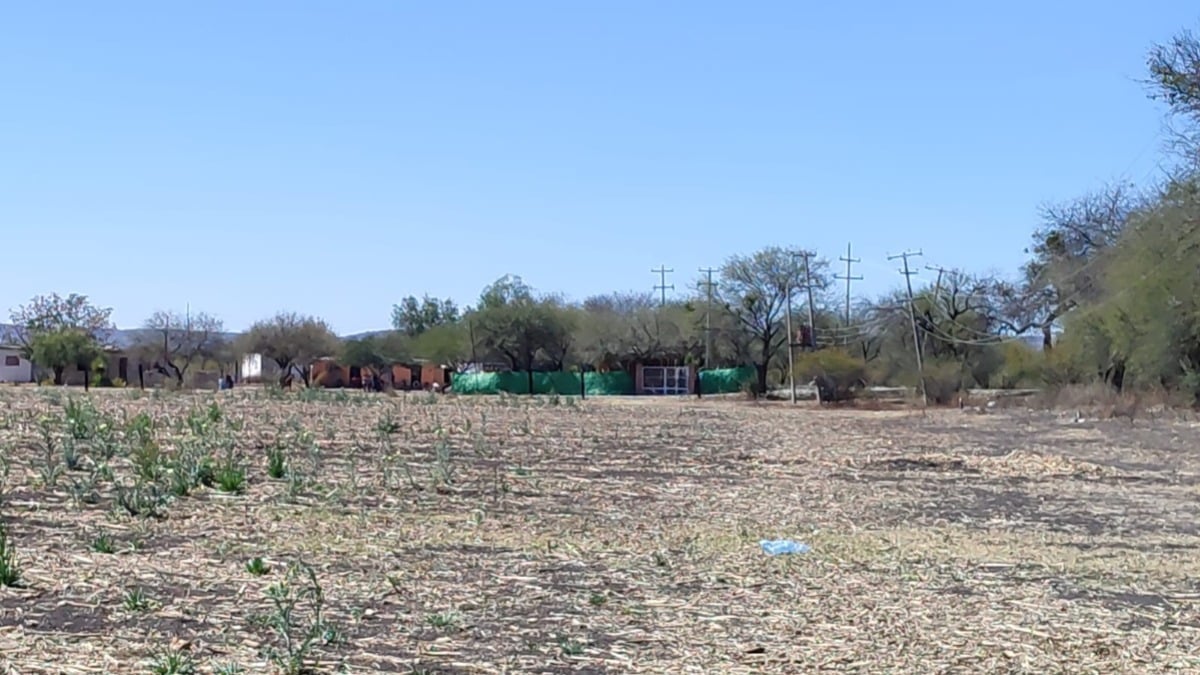 Matan a hombre en comunidad La Lomita