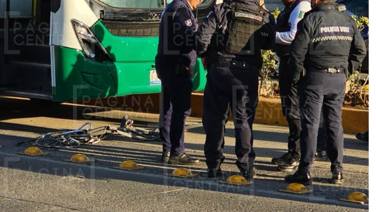 Oruga atropella a ciclista en López Mateos en León