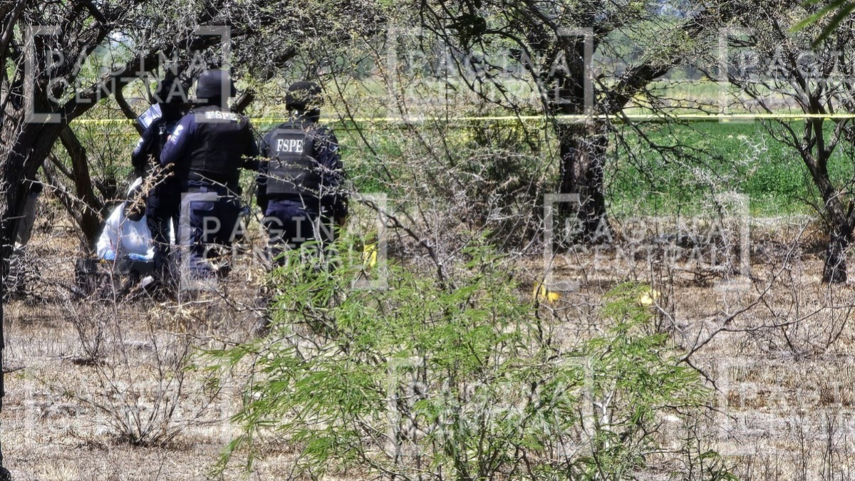 Encuentran huesos en la comunidad de Barretos en León