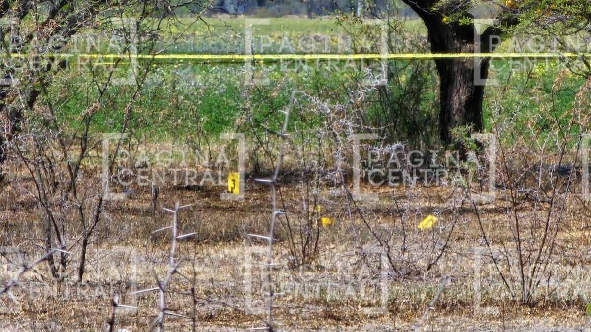 Encuentran huesos en la comunidad de Barretos en León