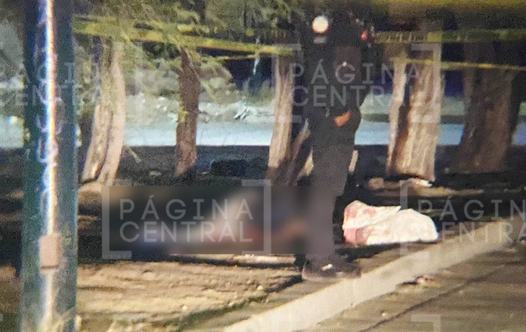 Homicidio en Villas de Nuestra Señora de la Luz