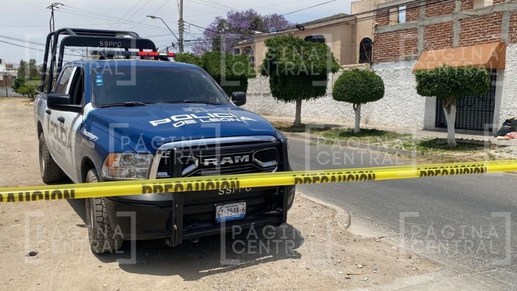 Balean a hombre que podaba árboles en Las Arboledas en León